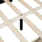 Full Size Upholstered Daybed with 2 Storage Drawers Sofa Bed Frame