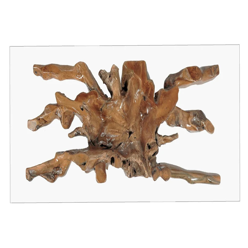 Teak Wood Root Dining Table with 55 inch Square Glass Top